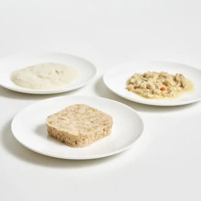 ダイエットフード NO サイエンス・ダイエット 小型犬用 アダルト サイエンス