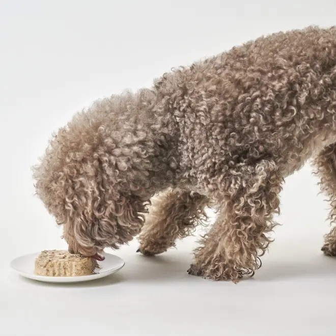 MediDiet | Vet's Labo（ベッツラボ）公式ブランドサイト