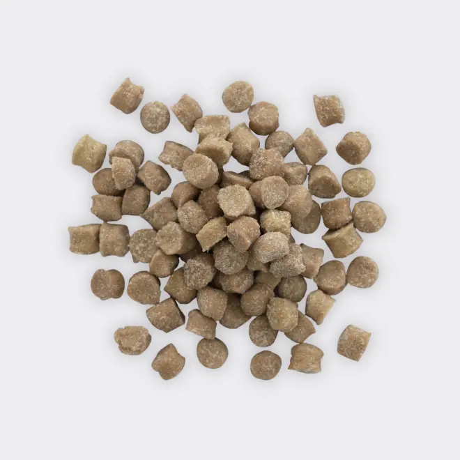 V-Base | Vet's Labo（ベッツラボ）公式ブランドサイト