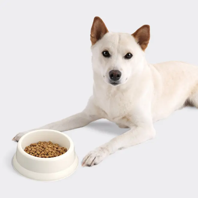 V-Base | Vet's Labo（ベッツラボ）公式ブランドサイト