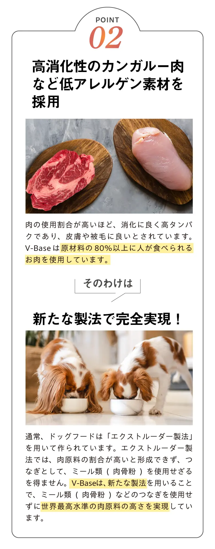 V-Base ブイベース 犬用 800g | Vet's Labo（ベッツラボ）公式ブランド
