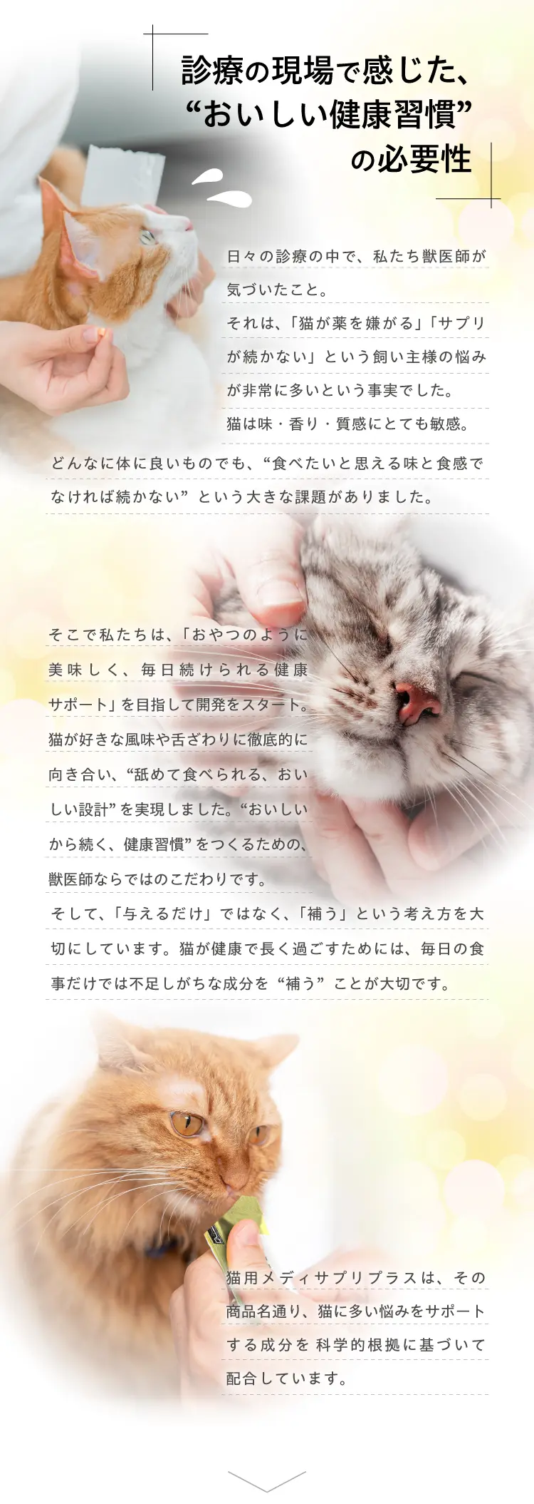 MediSuppli⁺ メディサプリプラス 猫用 口内環境サポート | Vet's Labo