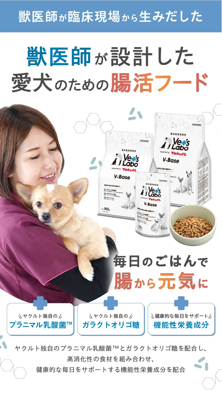 V-Base ブイベース 犬用 800g | Vet's Labo（ベッツラボ）公式ブランド