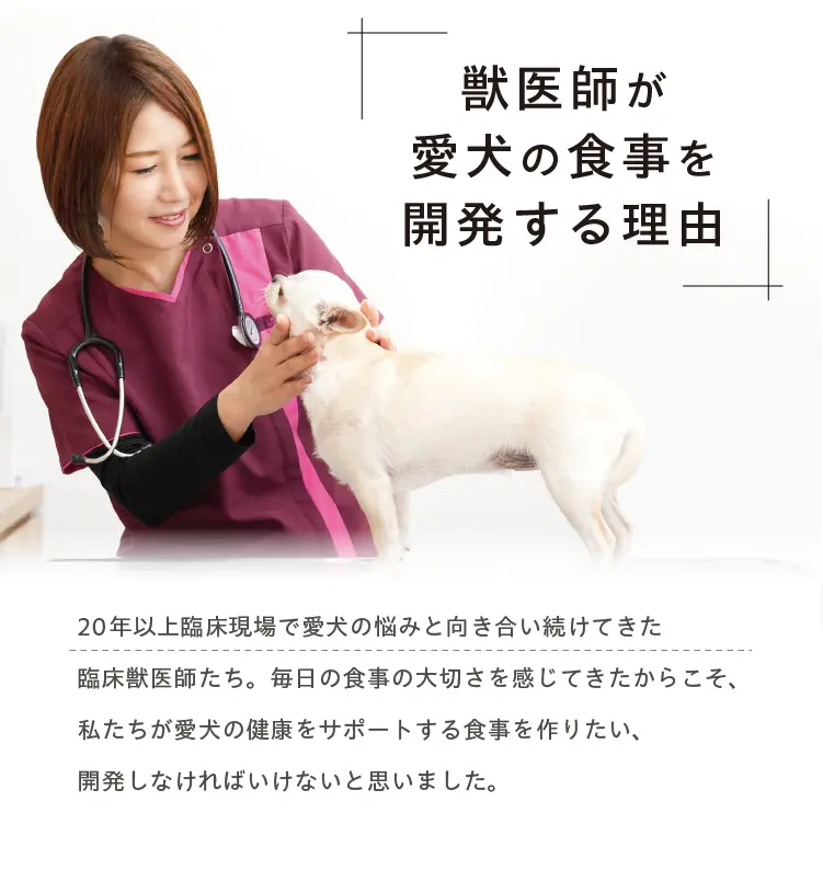 V-Base ブイベース 犬用 800g | Vet's Labo（ベッツラボ）公式ブランド