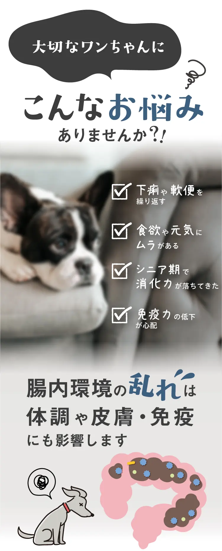 V-Base ブイベース 犬用 800g | Vet's Labo（ベッツラボ）公式ブランド