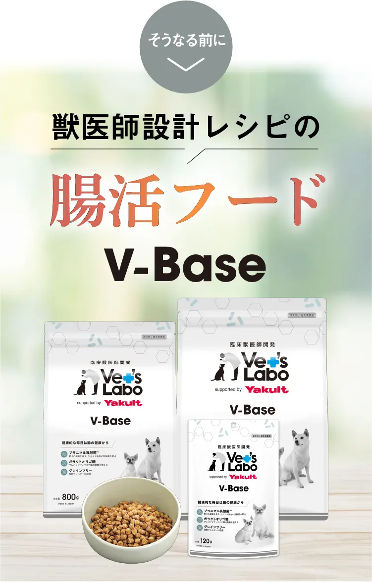 V-Base ブイベース 犬用 800g | Vet's Labo（ベッツラボ）公式ブランド