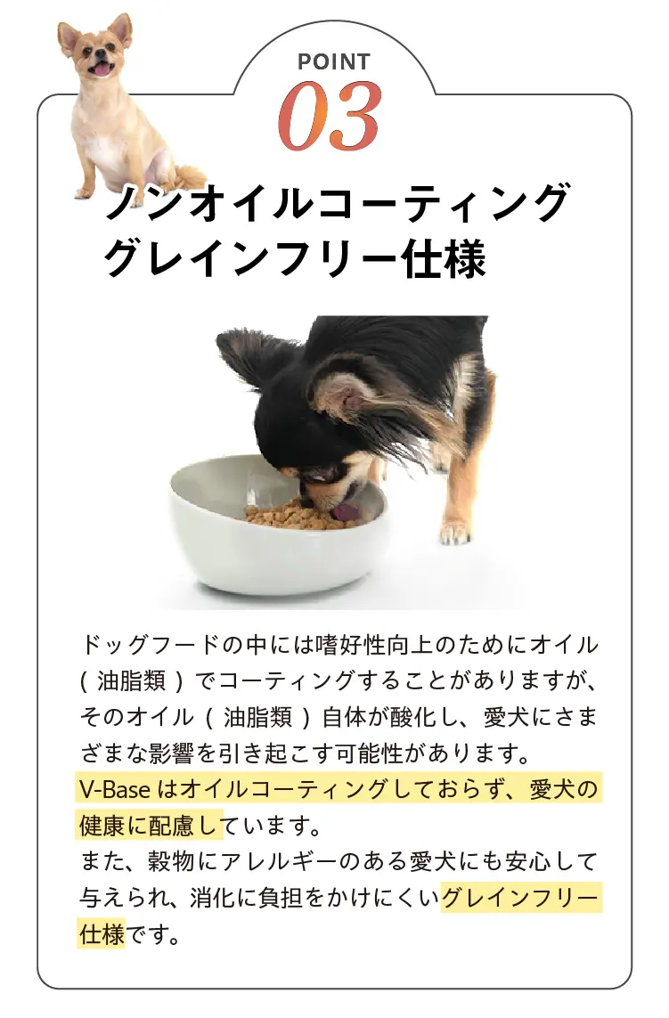 V-Base ブイベース 犬用 800g | Vet's Labo（ベッツラボ）公式ブランド