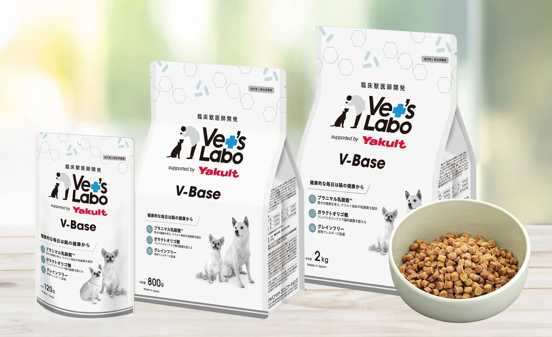 ワンちゃんの腸活フード V-Baseのご紹介 | Vet's Labo（ベッツラボ